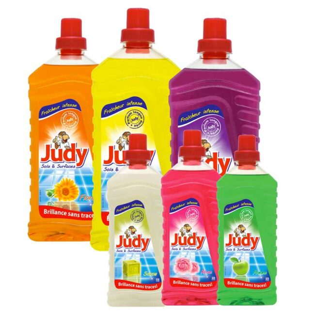 Nettoyant Sols et Surfaces JUDY 2,4L